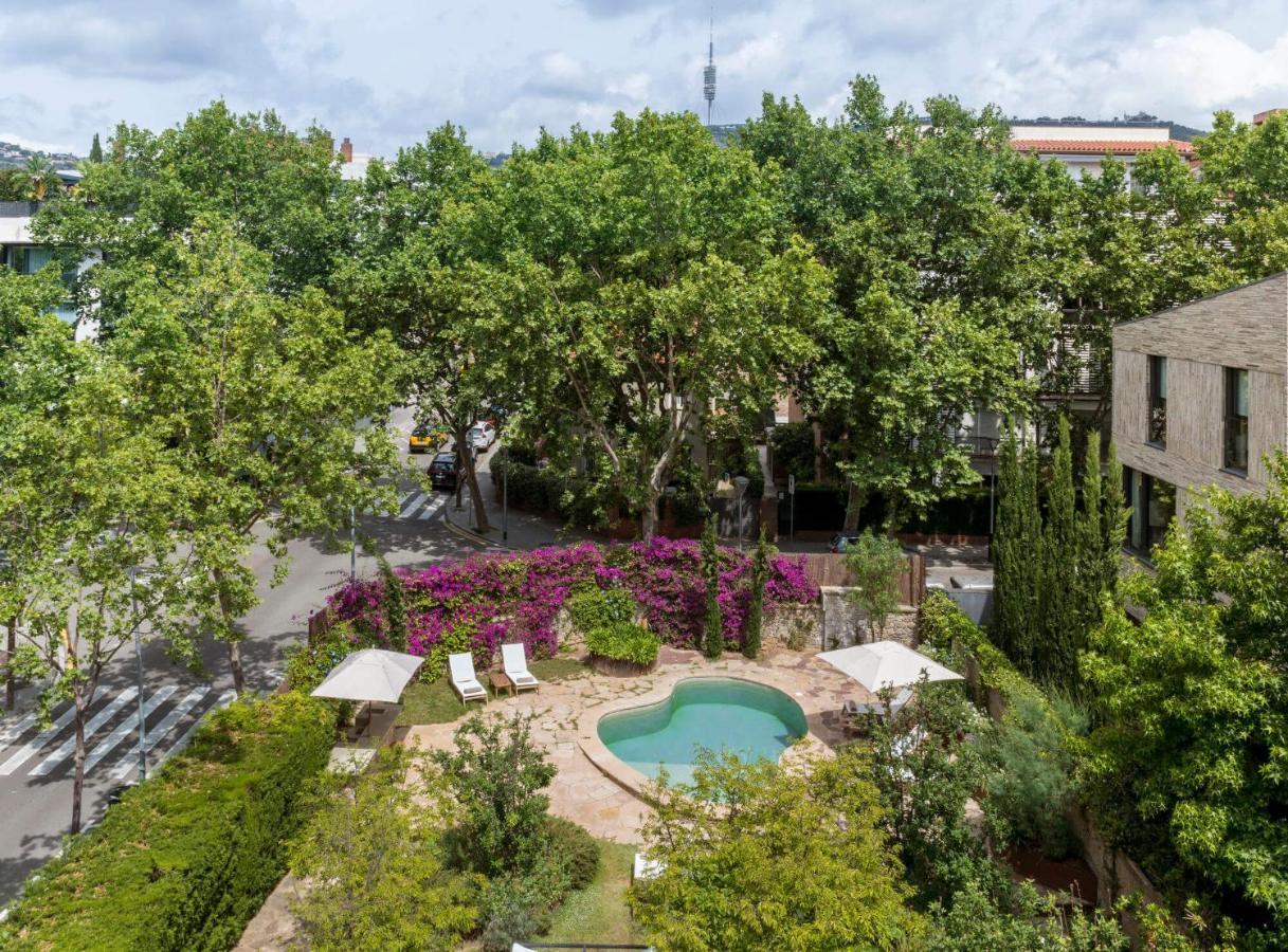 Suite Terrace