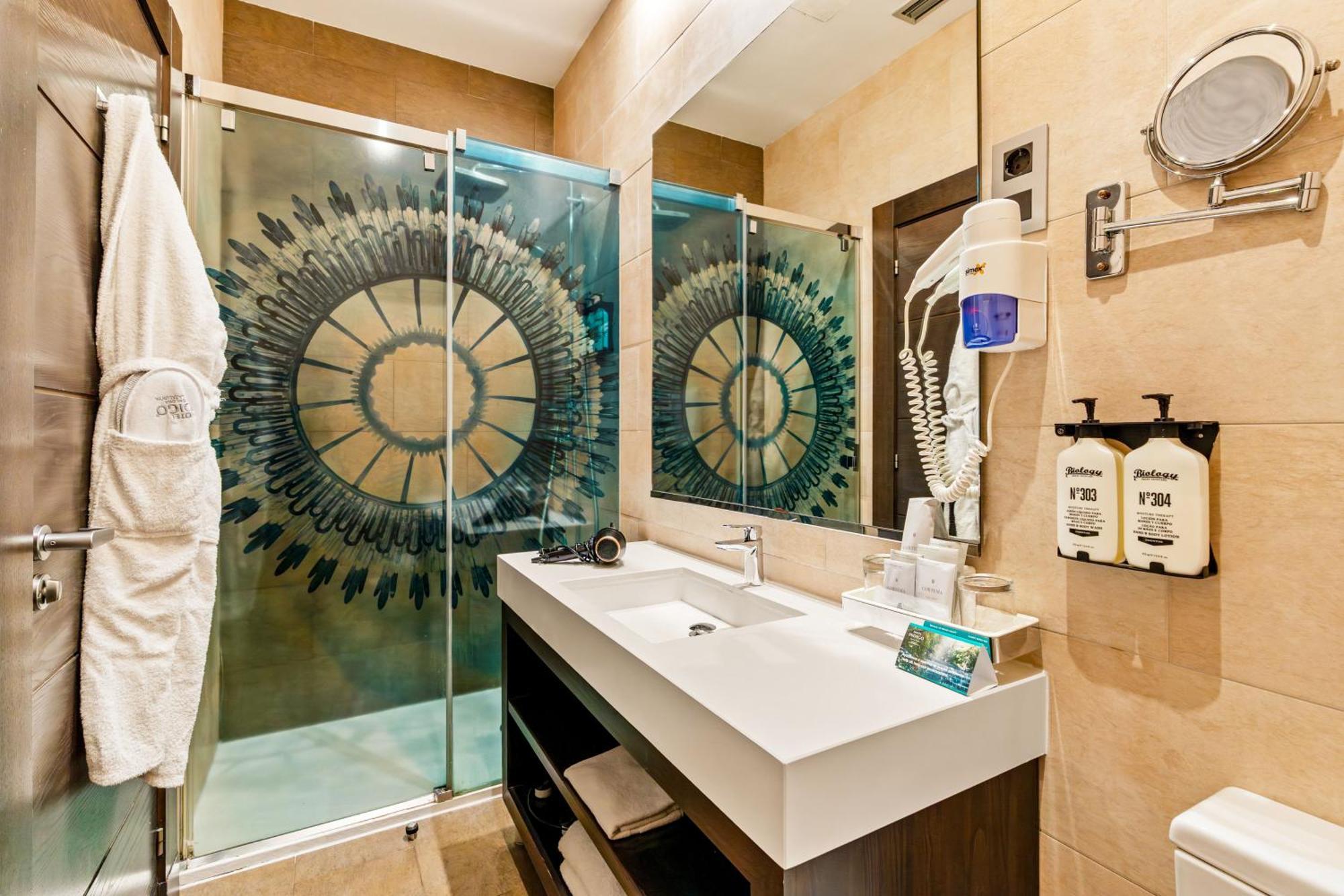 Superior Queen Room
